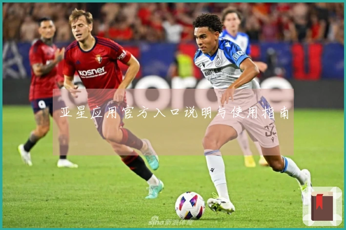 亚星应用官方入口说明与使用指南