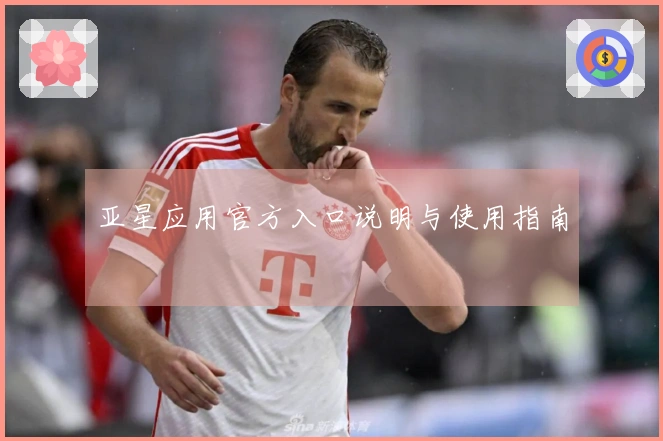 亚星应用官方入口说明与使用指南