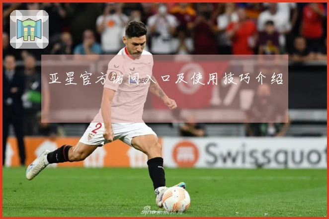 亚星官方访问入口及使用技巧介绍