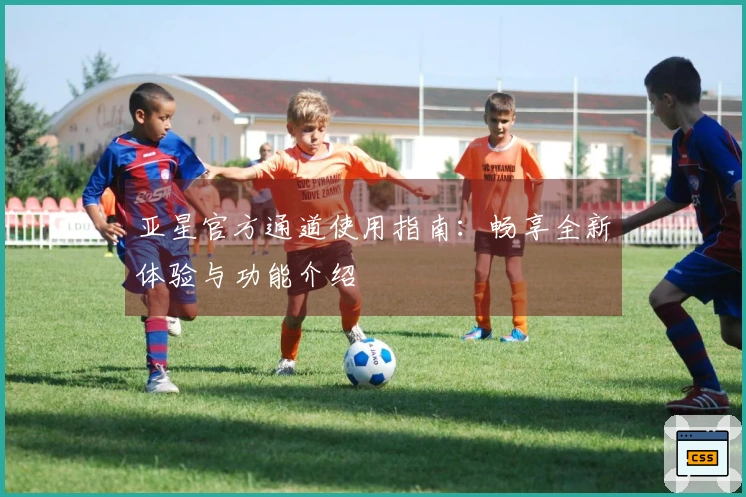 亚星官方通道使用指南：畅享全新体验与功能介绍